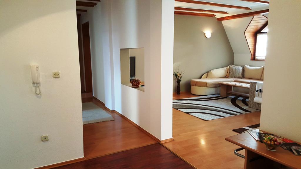 Apartment Cobanija サラエヴォ 部屋 写真