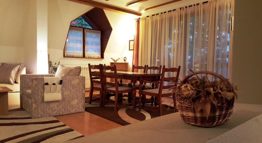 Apartment Cobanija サラエヴォ 部屋 写真