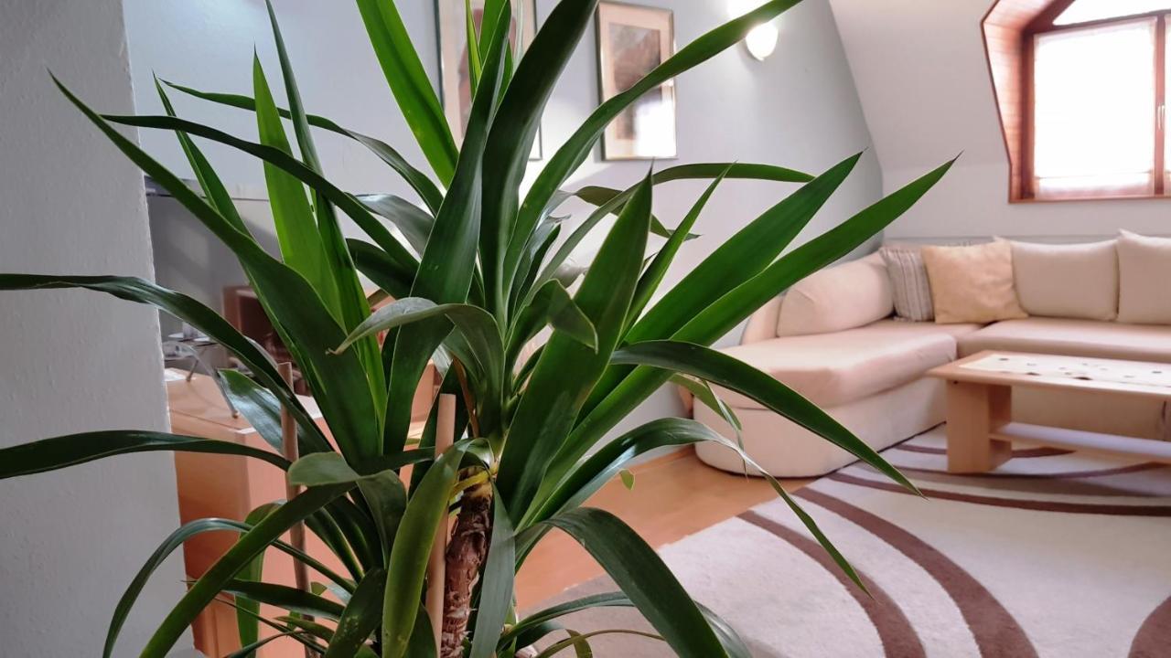 Apartment Cobanija サラエヴォ エクステリア 写真